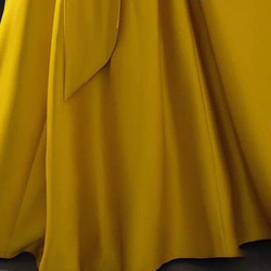 ハートカット　リボン　カラードレス　プリンセスライン　ウェディングドレス　二次会 12枚目の画像