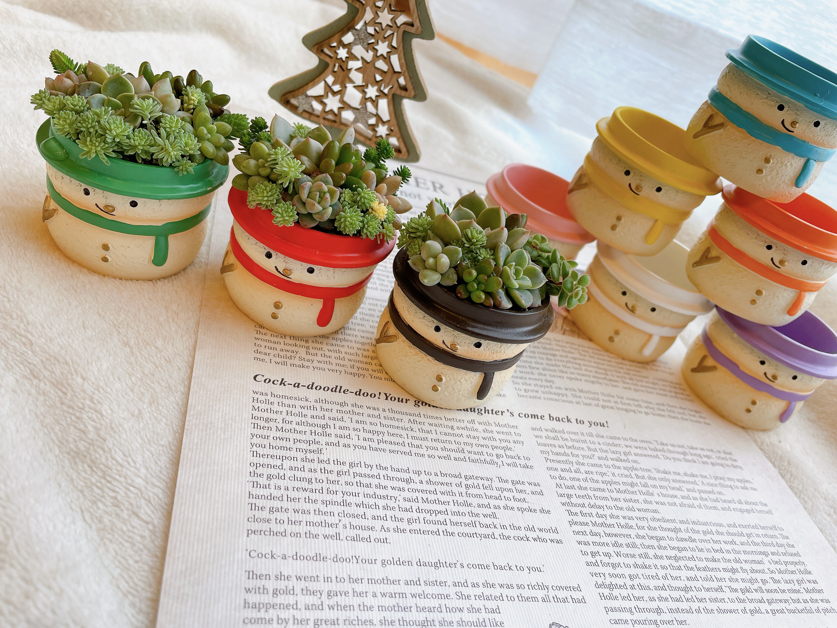 多肉植物 大きな寄せ植え 雪だるまスノードーム付☆★ Χ’mas そのまま飾れる