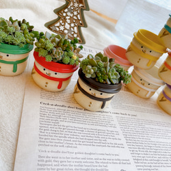 9カラーのミニミニ雪だるまの寄せ植え〜多肉植物 多肉植物寄せ植え