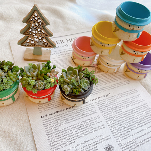 9カラーのミニミニ雪だるまの寄せ植え〜多肉植物 多肉植物寄せ植え