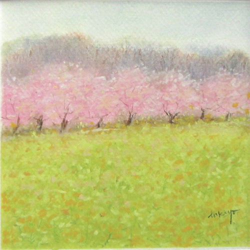 パステル画 菜の花畑と桜並木 （額付き 原画） 絵画 takiyo 通販
