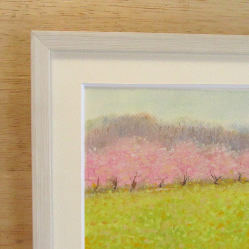 パステル画 菜の花畑と桜並木 （額付き 原画） 絵画 takiyo 通販