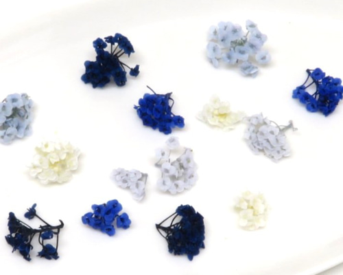 レジン&ホイップ&ハーバリウム　ハンドメイド商品 ハーバリウム | ハンドメイド素材の店 Mstore / minaro