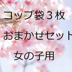 女の子用おトクなおまかせ３枚セット　２０×１５歯ブラシ・コップ袋　３枚　おしゃれ　可愛い♡　子育て支援　入園☆入学 1枚目の画像