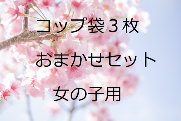 女の子用おトクなおまかせ３枚セット　２０×１５歯ブラシ・コップ袋　３枚　おしゃれ　可愛い♡　子育て支援　入園☆入学 1枚目の画像