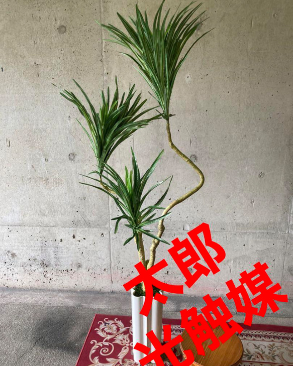 光触媒 人工観葉植物 ウォールグリーン フェイクグリーン コンシンネ