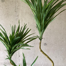 光触媒　人工観葉植物　ウォールグリーン　フェイクグリーン　コンシンネ13050 5枚目の画像