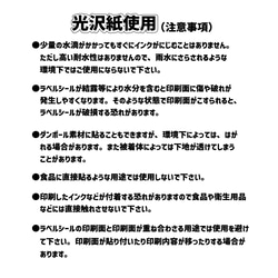 お名前シール　お名前ラベル　入学準備　学童用品　小学生　フレークシール　名入れ　小学校　文房具に貼るシール　光沢シール 7枚目の画像