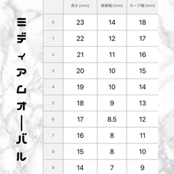 〖 オーダー 〗ネイルチップ 韓国ネイル 量産型 フレンチガーリー うるうる ジャニオタ 3枚目の画像