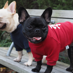 わんちゃん用 福 長袖スウェット Navy 犬 DOG わんこ 犬服 ☆新年 ☆お正月 5枚目の画像