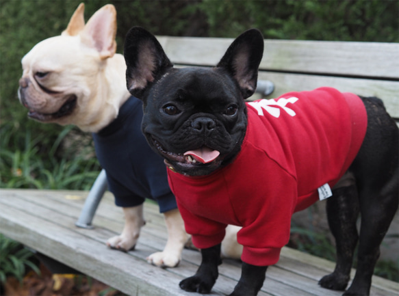 わんちゃん用 福 長袖スウェット Navy 犬 DOG わんこ 犬服 ☆新年 ☆お正月 5枚目の画像