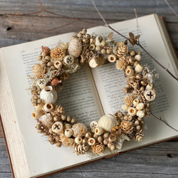 ✧︎*。一点物✧︎*。木の実と小枝のボタニカルワイヤーリース ナチュラル #29 NEW ITEM】 秋の彩りを、手軽にインテリアに フェイクボタニカル