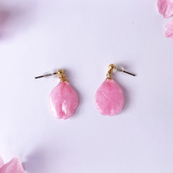 本物の桜の花びら 2wayロングピアス / sakura pink 3枚目の画像