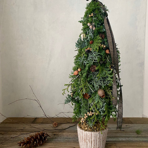 2023Xmas予約【Mサイズ】生～ドライまでを楽しむ♪針葉樹の香り