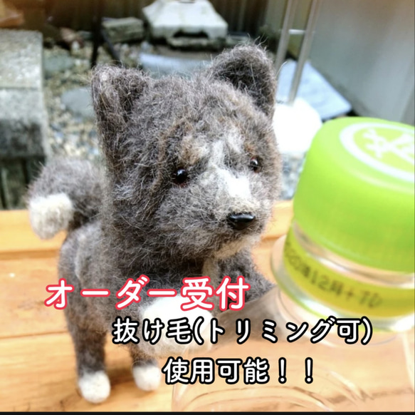 【新規オーダー４月製作開始分より再開予定】羊毛フェルト　オーダー　わんこ　犬 新規オーダー4月製作開始分より再開予定】羊毛フェルト オーダー