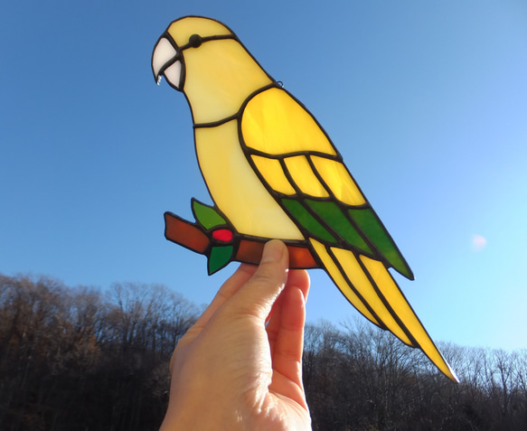 ステンドグラス　ニョオウインコ　サンキャッチャー　【鳥　小鳥　インコ】 1枚目の画像