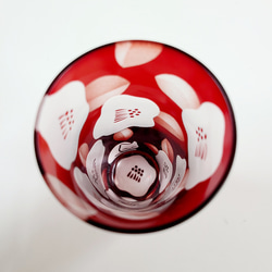 とってもキュート❤な眠り猫 4枚目の画像