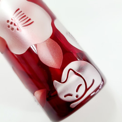 とってもキュート❤な眠り猫 2枚目の画像