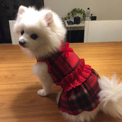 冬ワンピース　タータンチェック柄フリース・犬服 3枚目の画像