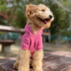 犬服　スウェットパーカー　ピンク 4枚目の画像