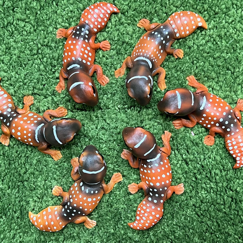 Naturetales セマルハコガメ　幼体フィギュア 2025年最新】海洋堂 セマルハコガメの人気アイテム - メルカリ