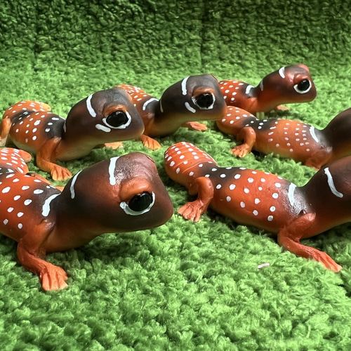 ナメハダタマヤモリ フィギュア その他置物 reptiles kotori 通販