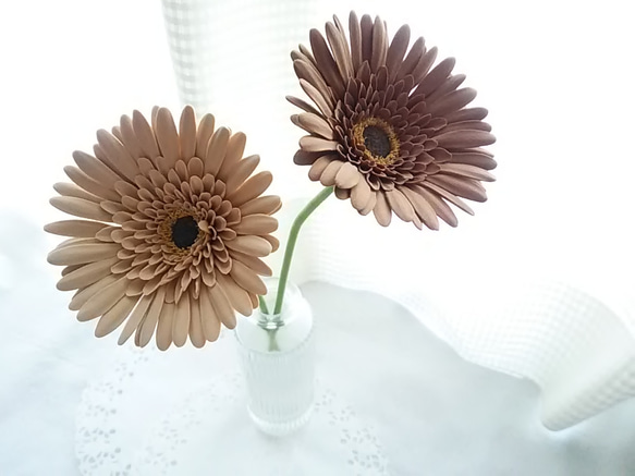 【實體限定】❁黏土花非洲菊2朵套裝，黑芯淺棕色、深棕色、室內花、斯堪的納維亞室內花❁ 第2張的照片
