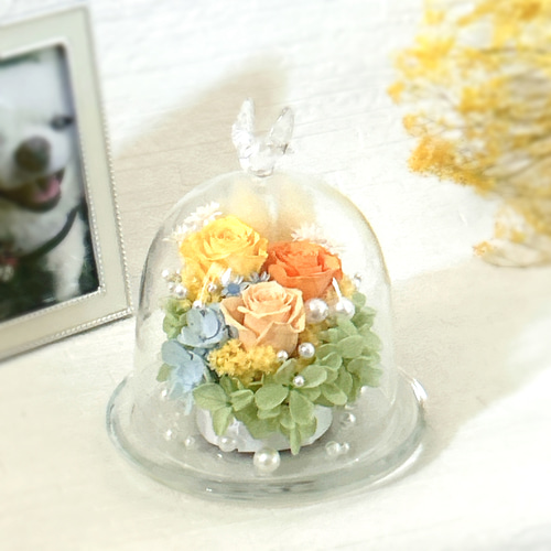 お供え花　プリザーブドフラワーアレンジメント ガラスドーム付き お供え 花 プリザーブドフラワー 仏花 ガラスドーム アレンジメント S