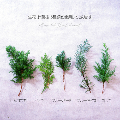 送料無料】針葉樹5種のクリスマススワッグ｜爽やかなエバーグリーンの