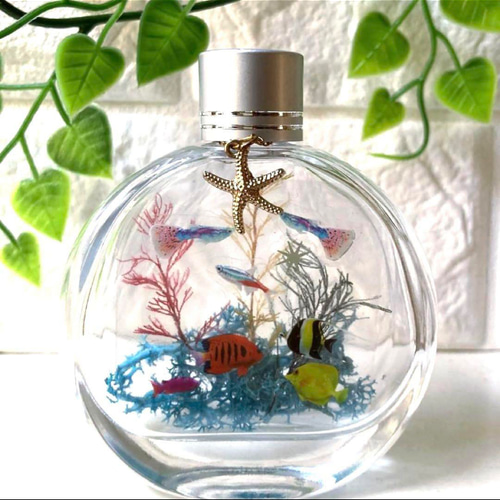 ハーバリウム アクアリウム 南の海の魚たち☆*:.。 ハーバリウム・植物