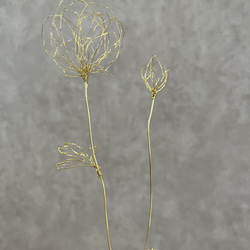 【受注制作】真鍮のラナンキュラス（葉、蕾付き）　ワイヤーアート　ワイヤークラフト 6枚目の画像