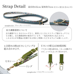  第11張的照片