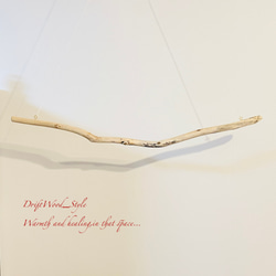 流木インテリア うねりを描く無骨な大型流木のハンガーラック 北欧 衣装掛け ハンギング 吊り下げ ハンガーポール N5 7枚目の画像
