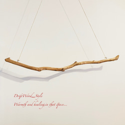 流木インテリア うねりを描く無骨な大型流木のハンガーラック 北欧 衣装掛け ハンギング 吊り下げ ハンガーポール N7 7枚目の画像