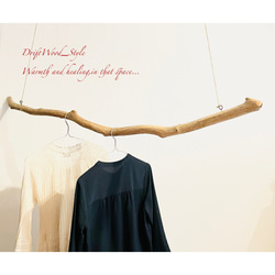 流木インテリア うねりを描く無骨な大型流木のハンガーラック 北欧 衣装掛け ハンギング 吊り下げ ハンガーポール N7 6枚目の画像