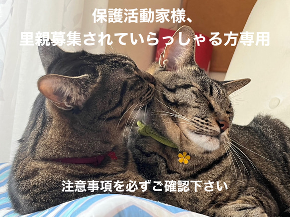 和風　猫の首輪　ちりめん細紐　子猫から小柄な成猫用（保護活動家様方専用） 1枚目の画像