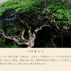 パロサントエッセンシャルオイル☆聖なる樹アロマオイル《精油100％使用5ml》 4枚目の画像