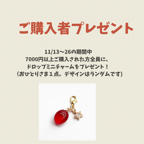 ご購入者プレゼントキャンペーンのお知らせ ピアス（フープ 