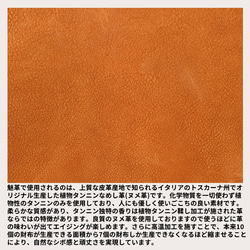 男士雙折錢包，真皮，免費刻名，小巧，盒形錢包，迷你錢包，Millefoglie P30，深綠色，駝色 第7張的照片