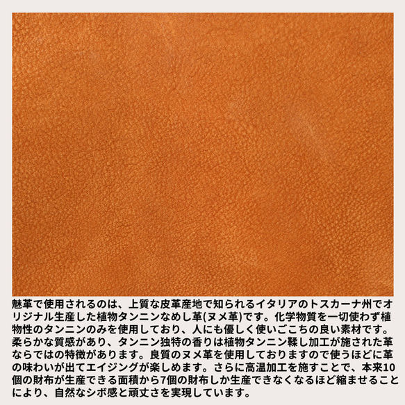 男士雙折錢包，真皮，免費刻名，小巧，盒形錢包，迷你錢包，Millefoglie P30，深綠色，駝色 第7張的照片