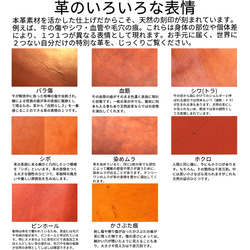 男士雙折錢包，真皮，免費刻名，小巧，盒形錢包，迷你錢包，Millefoglie P30，深綠色，駝色 第19張的照片