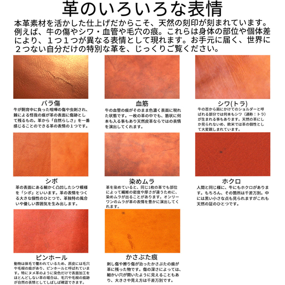 男士雙折錢包，真皮，免費刻名，小巧，盒形錢包，迷你錢包，Millefoglie P30，深綠色，駝色 第19張的照片