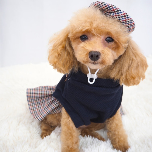 ワンピース ドレス 重ね着風 帽子付き かわいい 小型犬用 犬服 ワンピース ドレス 重ね着風 帽子付き かわいい 小型犬用 犬服