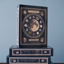 魔法の本のようなブックボックス 架空の洋書 "誕生石の図鑑" 〜MOON STONE〜 / 小物入れ 5枚目の画像