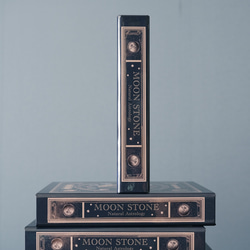 魔法の本のようなブックボックス 架空の洋書 "誕生石の図鑑" 〜MOON STONE〜 / 小物入れ 4枚目の画像