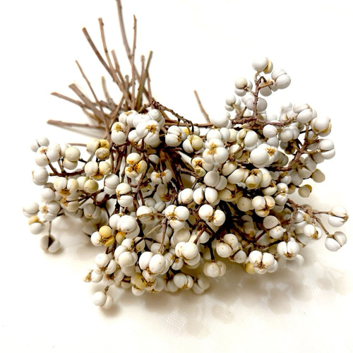 ナンキンハゼ 3〜6粒 約40本 ドライフラワー Satsuki 通販 16860005