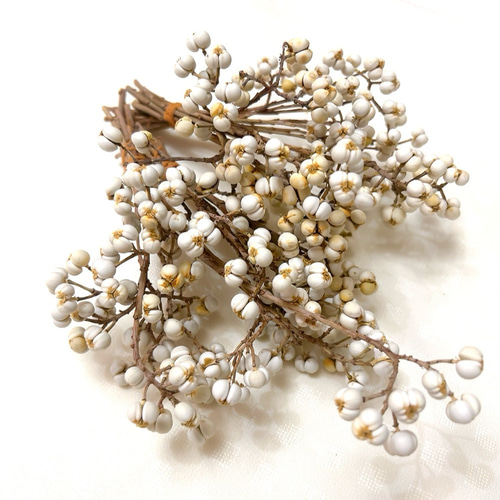 ナンキンハゼ 3〜6粒 約40本 ドライフラワー Satsuki 通販 16860005