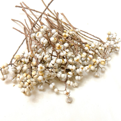 ナンキンハゼ 3〜6粒 約40本 ドライフラワー Satsuki 通販 16860005