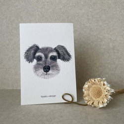 シュナウザー イラスト のおすすめ人気通販 検索結果｜Creema(クリーマ