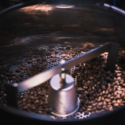 【送料無料】コーヒー豆 グァテマラ ピューマ ダーク スペシャルティコーヒー 200g 3枚目の画像